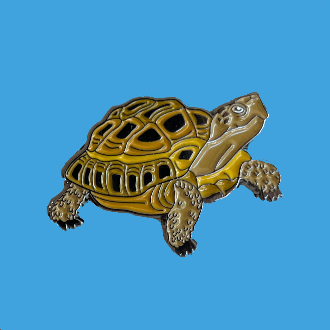 Desert Tortoise Pin