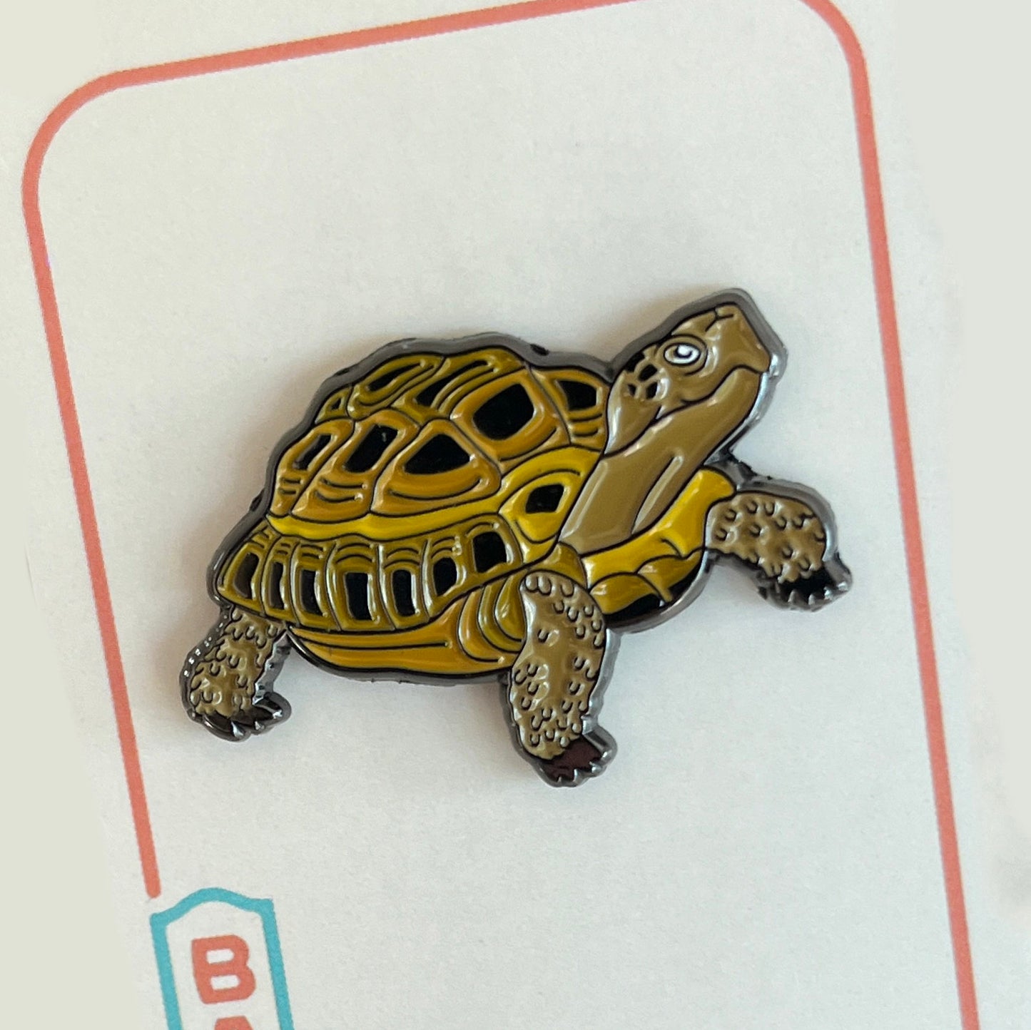 Desert Tortoise Pin