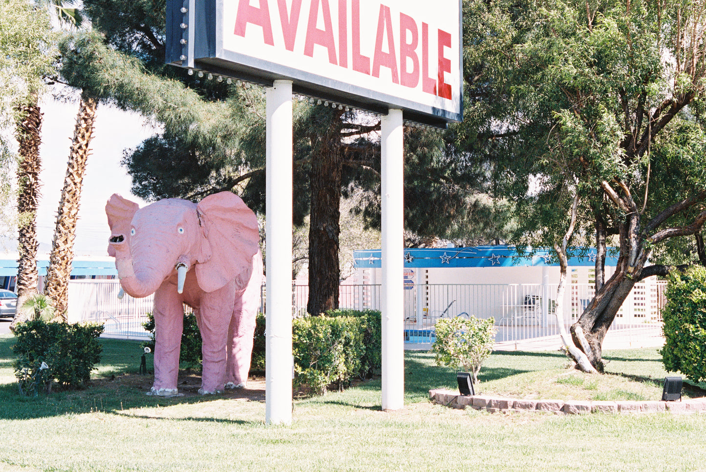 Diamond Inn Motel Pink Elephant Pin