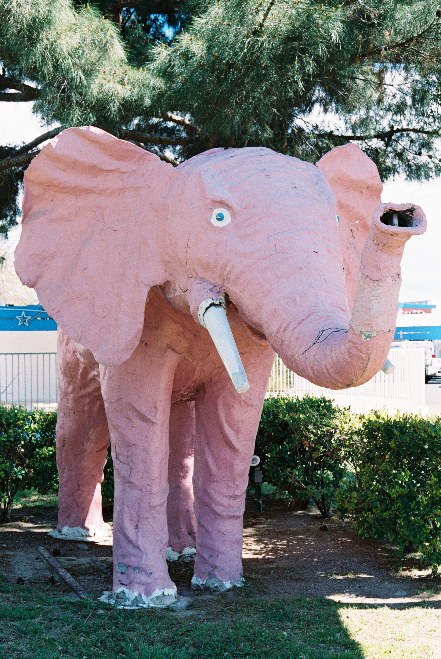 Diamond Inn Motel Pink Elephant Pin