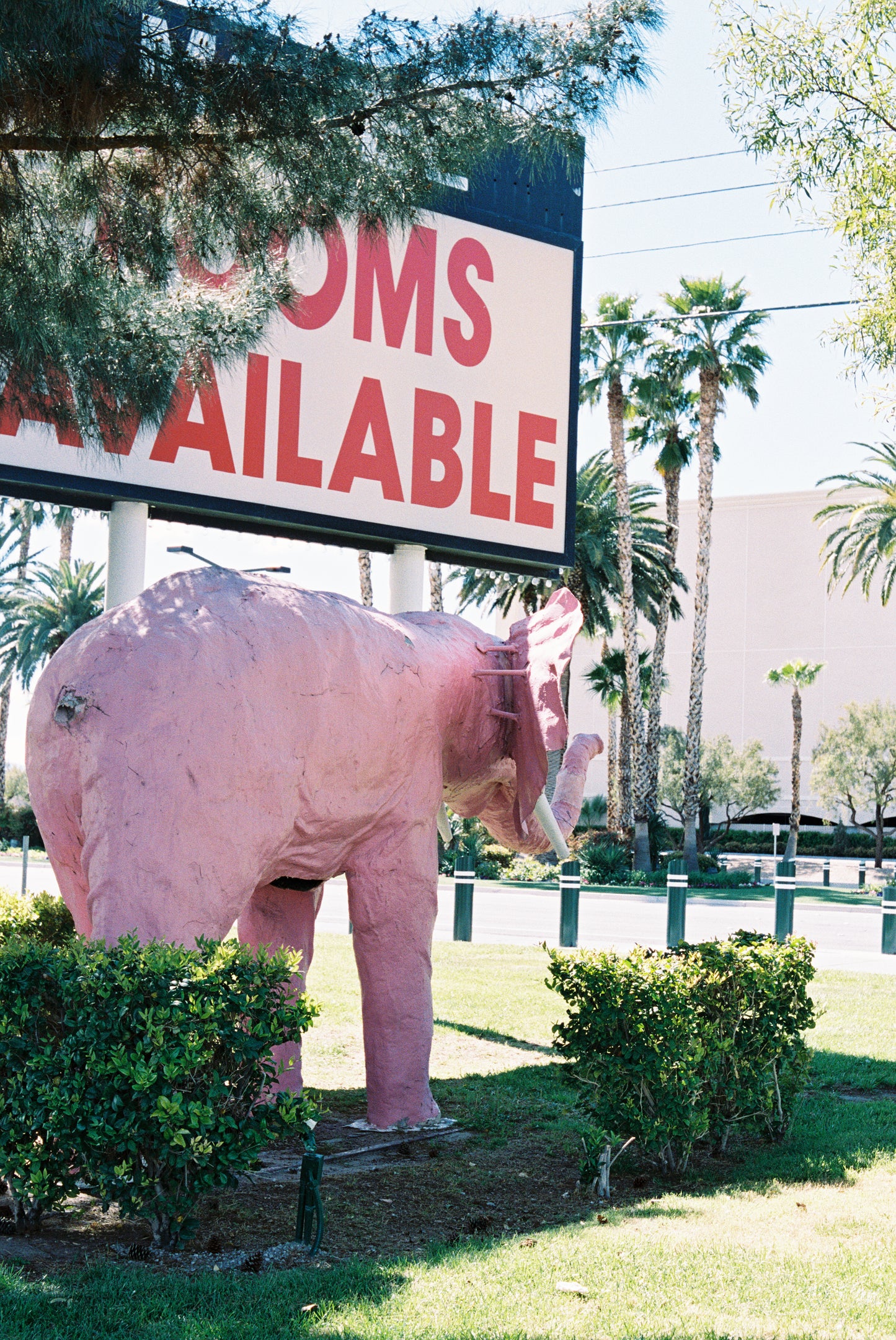 Diamond Inn Motel Pink Elephant Pin