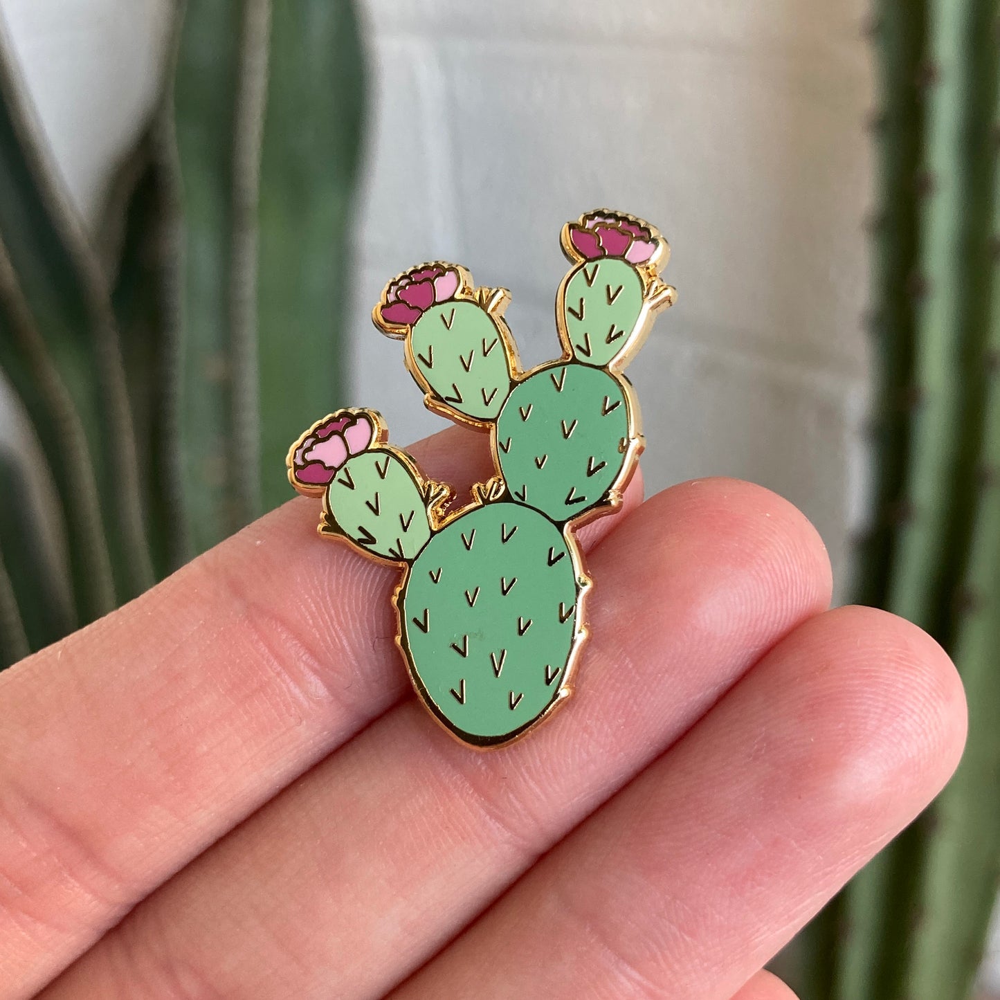 Prickly Pear Cactus