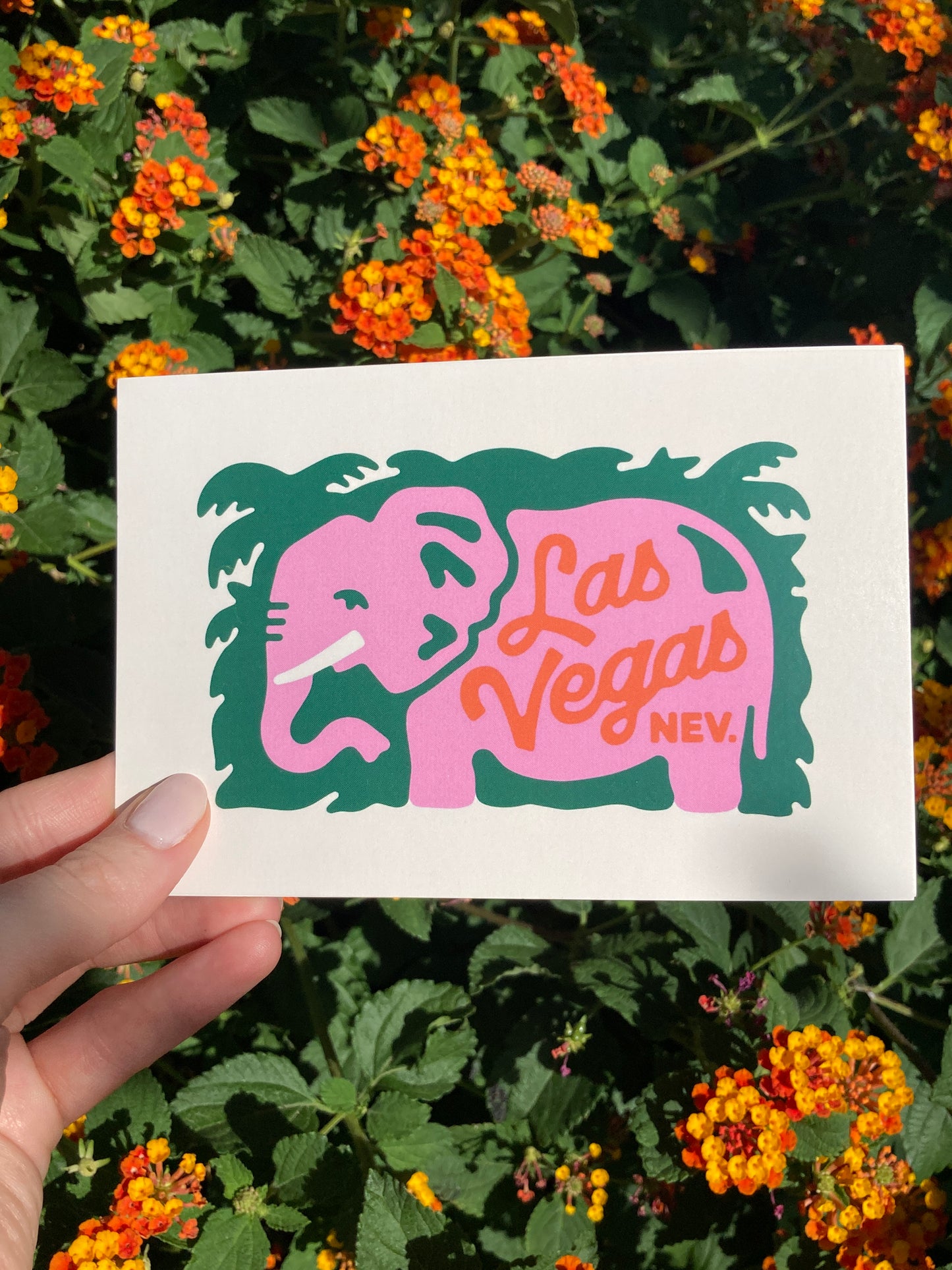 Vegas Postcard Pack