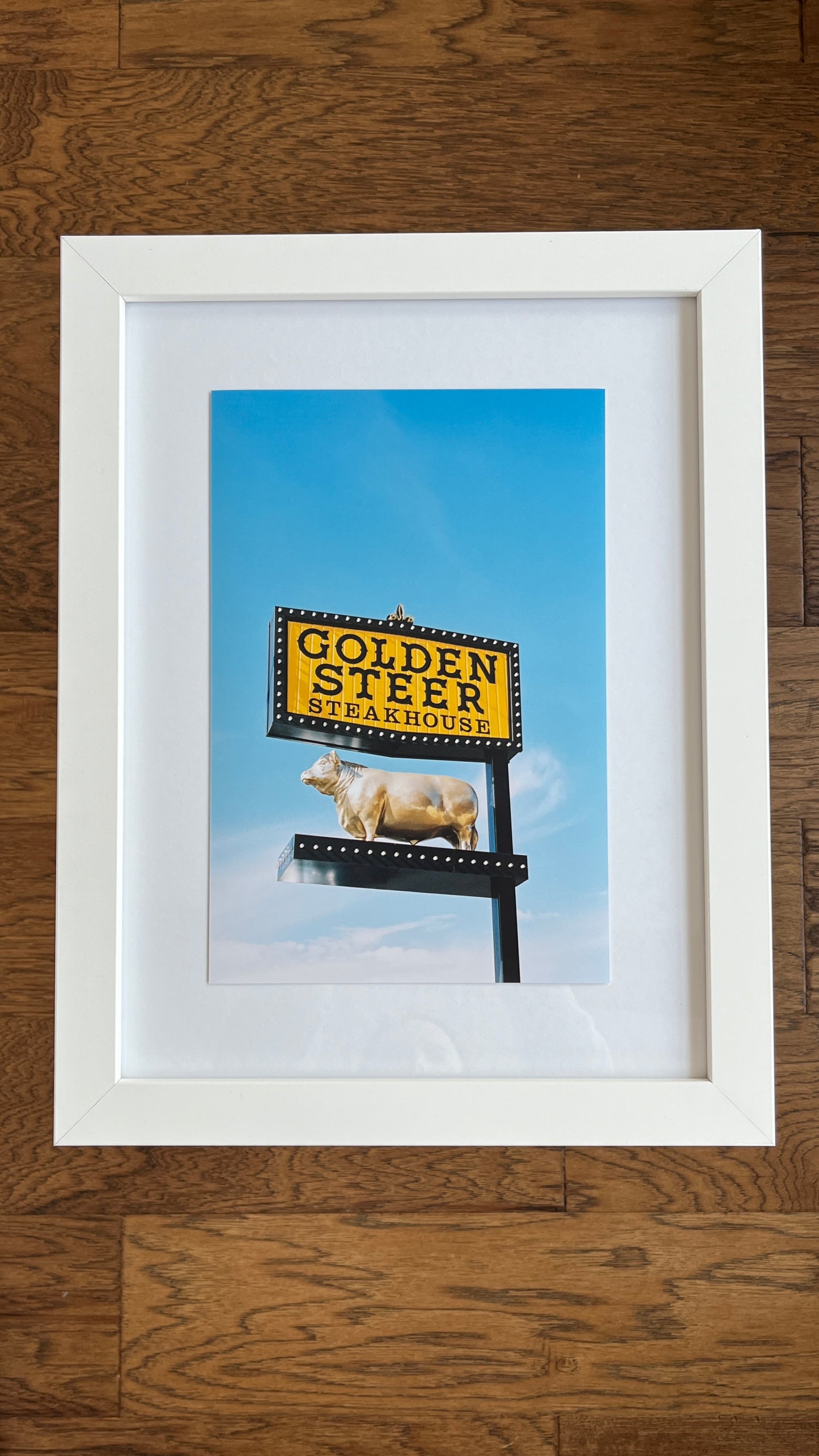 Golden Steer 8x12" Photo Print