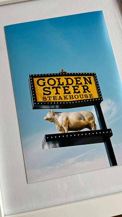 Golden Steer 8x12" Photo Print