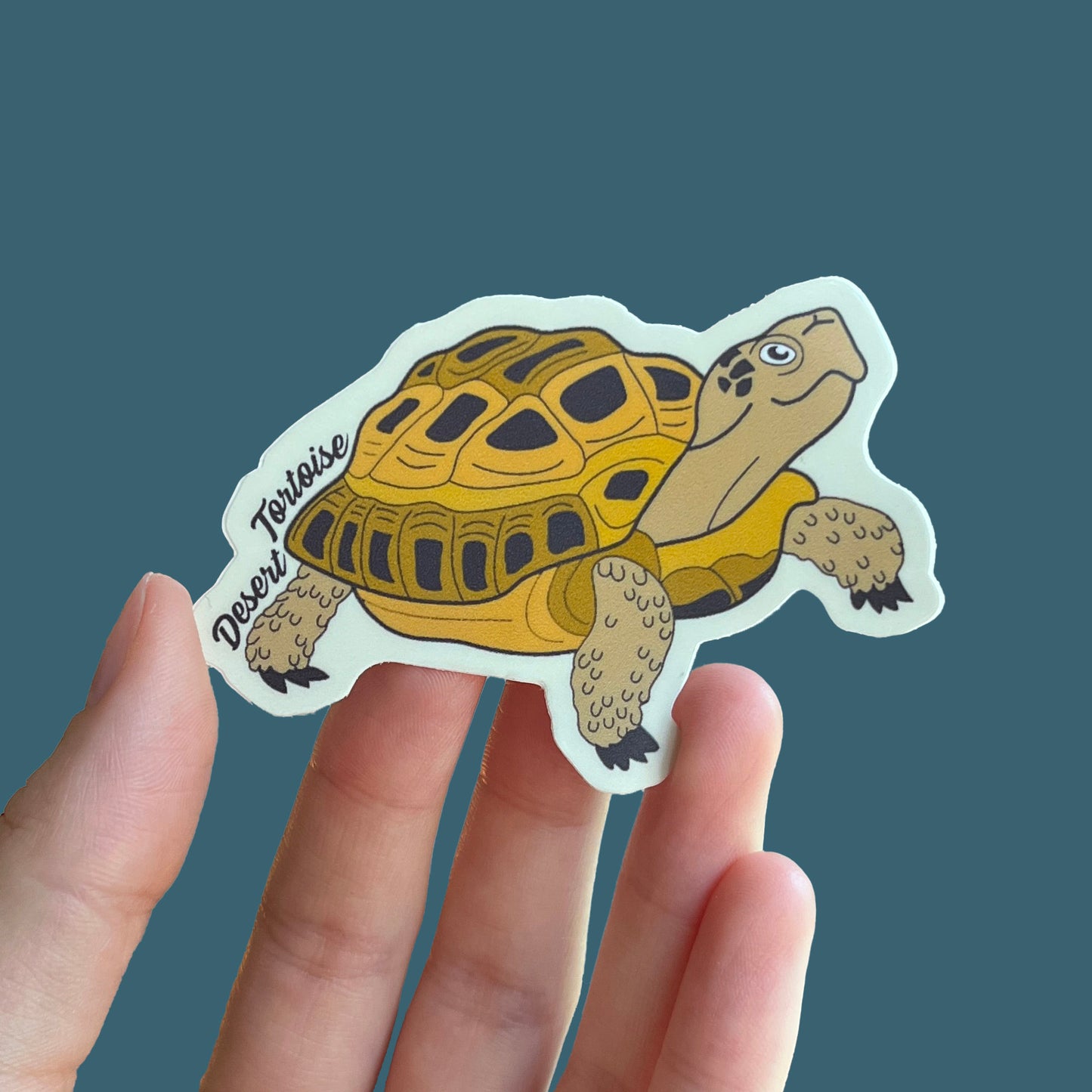 Desert Tortoise Sticker