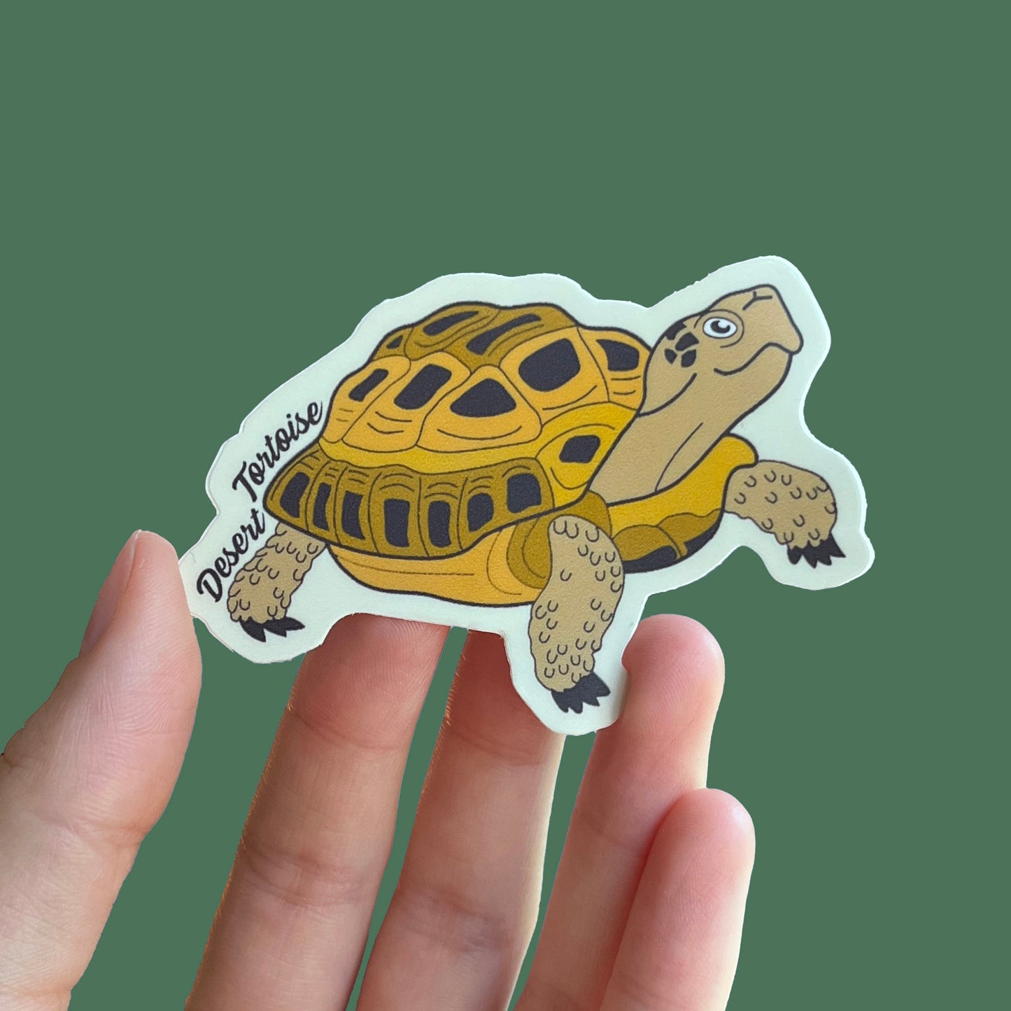 Desert Tortoise Sticker