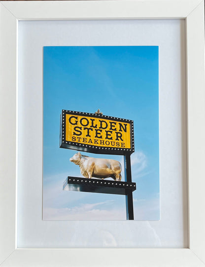 Golden Steer 8x12" Photo Print