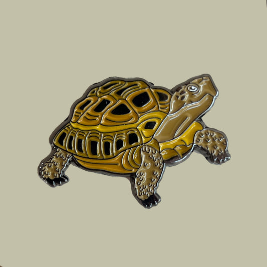 Desert Tortoise Pin