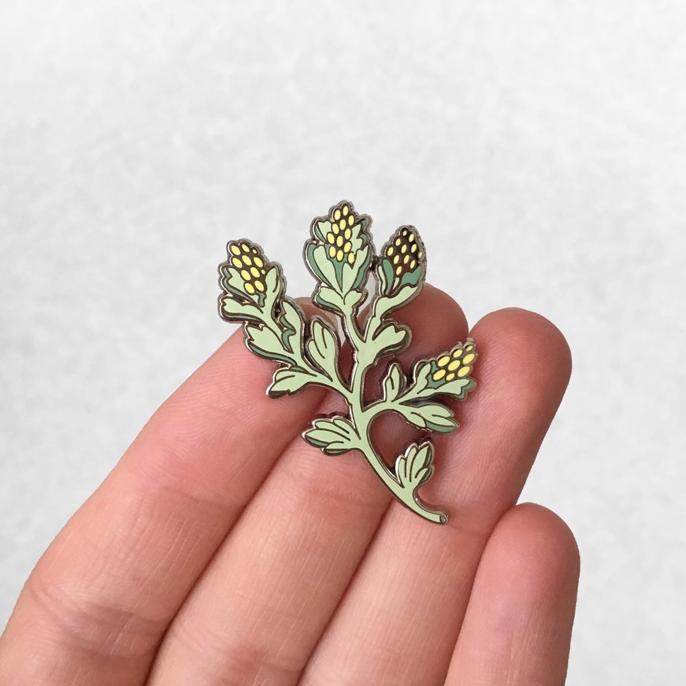 Sagebrush State Flower