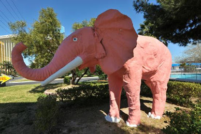 Pink Elephant Sticker